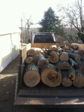 [Hearth.com] Todays Fun(updated with more pics)