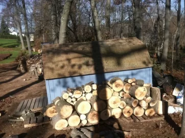 [Hearth.com] Todays Fun(updated with more pics)