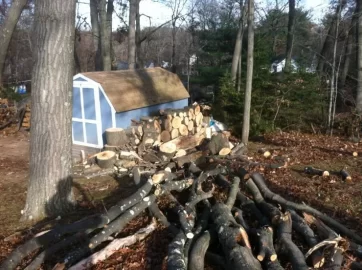[Hearth.com] Todays Fun(updated with more pics)