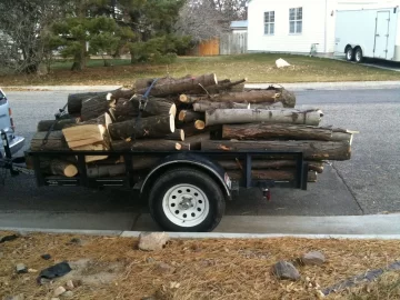 [Hearth.com] scrounge with ?'s and pics