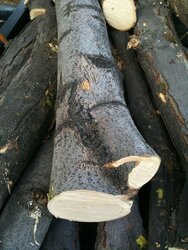 wood houler 010.jpg