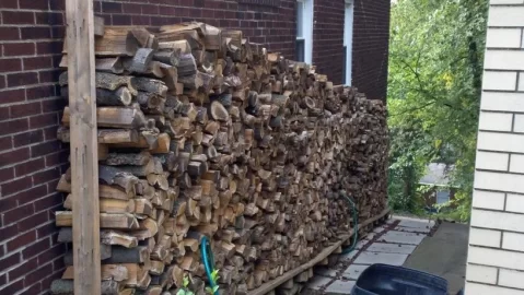 [Hearth.com] First Post - My Wood Piles