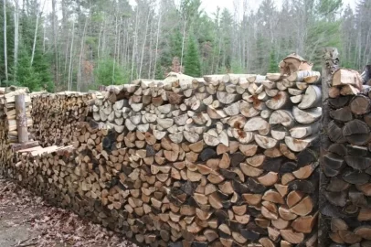 [Hearth.com] Last of the log load, part 2