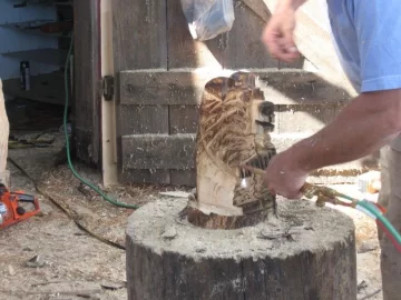 [Hearth.com] Chainsaw Carving