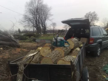 [Hearth.com] Black or Honeylocust