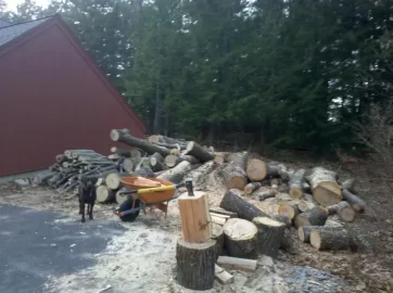 [Hearth.com] Log Length via a tree service - how much?