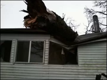 [Hearth.com] 7th Load of Aumsville, Oregon Tornado Scrounge