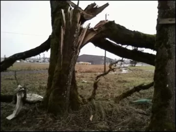 [Hearth.com] 7th Load of Aumsville, Oregon Tornado Scrounge