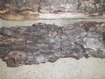 [Hearth.com] wood id please (with new pictures)