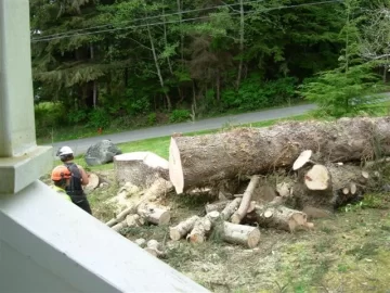 [Hearth.com] Ugliest Tree I Have Ever Split