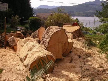 [Hearth.com] Ugliest Tree I Have Ever Split