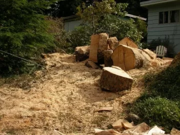 [Hearth.com] Ugliest Tree I Have Ever Split