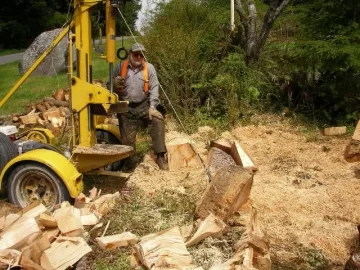[Hearth.com] Ugliest Tree I Have Ever Split