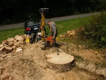 [Hearth.com] Ugliest Tree I Have Ever Split