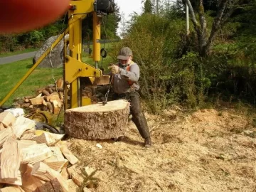 [Hearth.com] Ugliest Tree I Have Ever Split