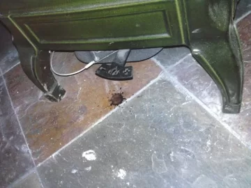[Hearth.com] Stove Leak??