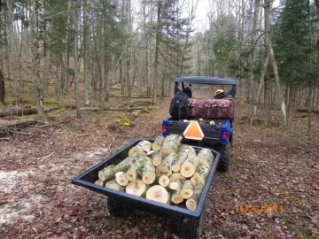[Hearth.com] Son of A Birch