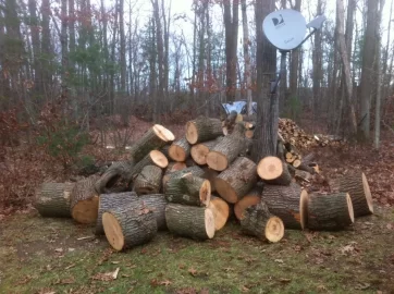 [Hearth.com] ID These Rounds Please