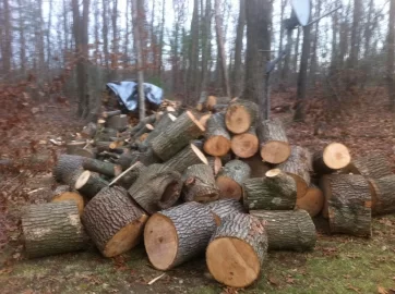 [Hearth.com] ID These Rounds Please