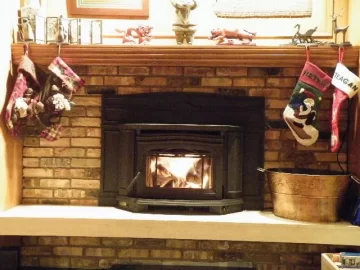 [Hearth.com] T5 Insert Up and Running