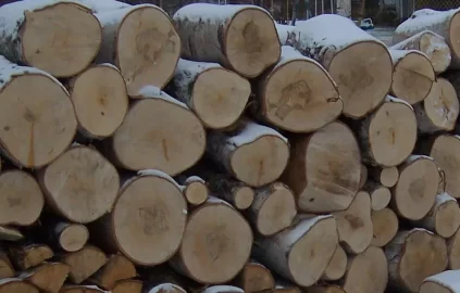 [Hearth.com] Son of A Birch