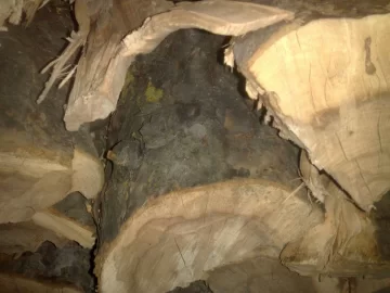 [Hearth.com] wood ID (cherry?)