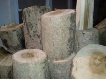 [Hearth.com] Wood id please-- I'm thinking black birch