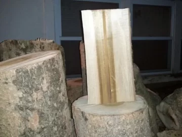 [Hearth.com] Wood id please-- I'm thinking black birch