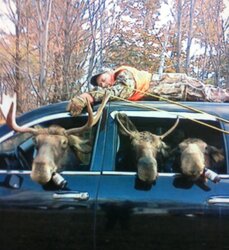 moose hunting.jpg