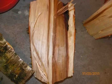 [Hearth.com] Birch Identification