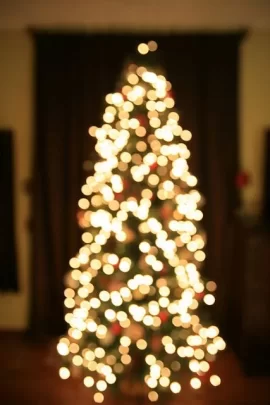 [Hearth.com] Christmas lights