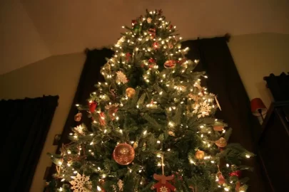 [Hearth.com] Christmas lights
