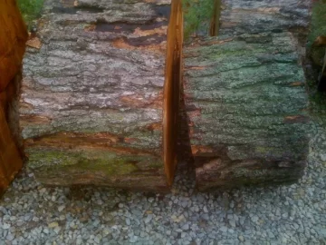 [Hearth.com] WOOD ID  please
