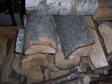 [Hearth.com] Birch Identification