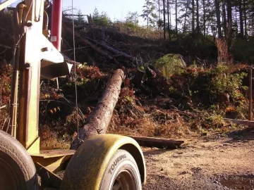 [Hearth.com] Nice Day For A wood Cut