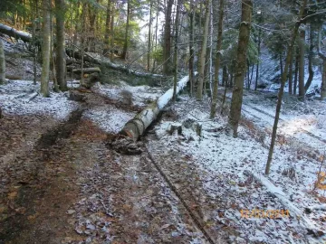 [Hearth.com] Hemlock Down!