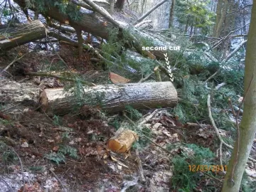 [Hearth.com] Hemlock Down!