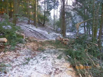 [Hearth.com] Hemlock Down!