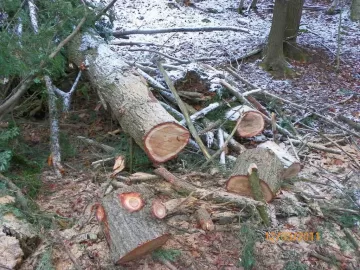 [Hearth.com] Hemlock Down!