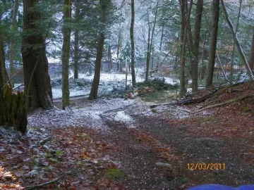 [Hearth.com] Hemlock Down!