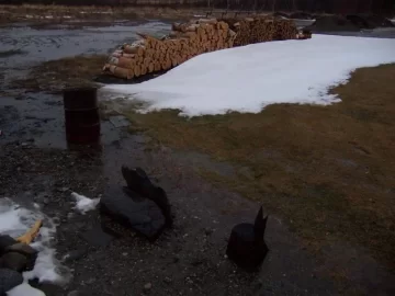 [Hearth.com] Alaska ain't always cold in winter !