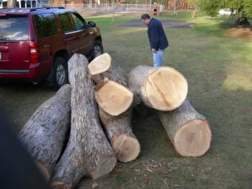 [Hearth.com] Tree service score