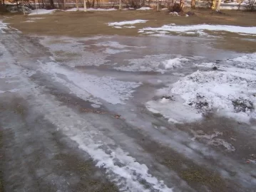 [Hearth.com] Alaska ain't always cold in winter !