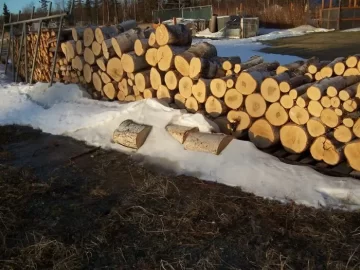 [Hearth.com] Alaska ain't always cold in winter !