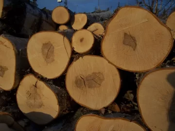 [Hearth.com] Alaska ain't always cold in winter !
