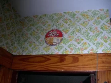[Hearth.com] What is better than a Smoke Detector ??   --- UPDATE