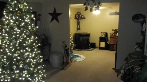[Hearth.com] Christmas Tree Saftey
