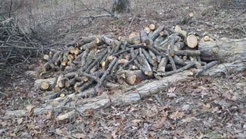 [Hearth.com] Dropped some white oak