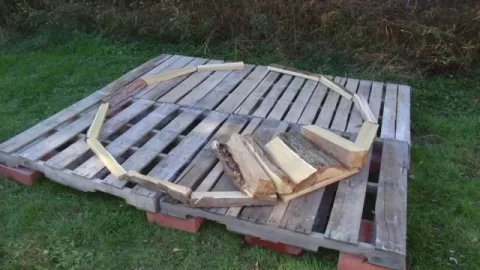 [Hearth.com] a wood pile