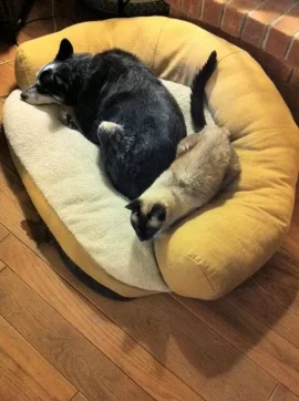 [Hearth.com] This is what happens...